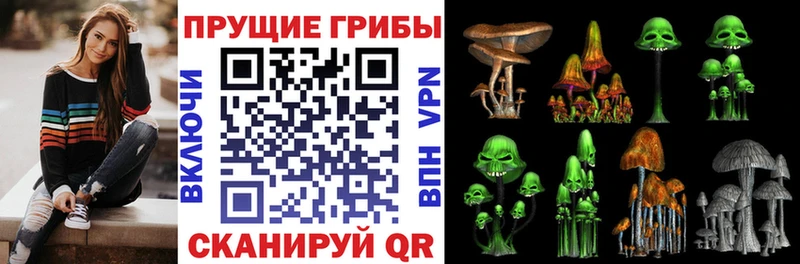 Галлюциногенные грибы Psilocybe  наркошоп  Чернушка 